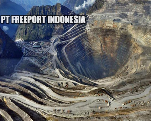 Keberhasilan Freeport Mengangkat Ekonomi Indonesia