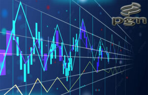 Saham BUMN PT Perusahaan Gas Negara Tbk.(PGAS)