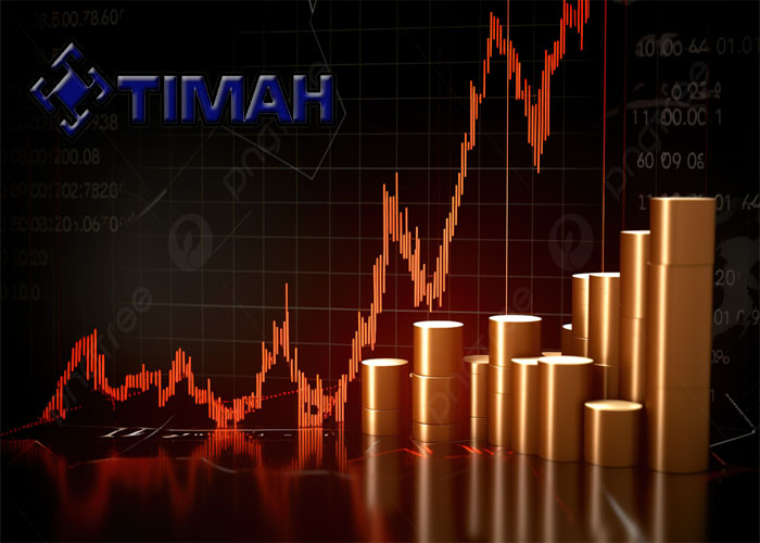 Saham BUMN TINS dari PT Timah (Persero) Tbk.