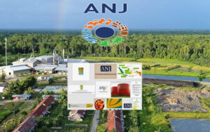 Saham Austindo Nusantara Jaya Performa dan Prospek Agribisnis